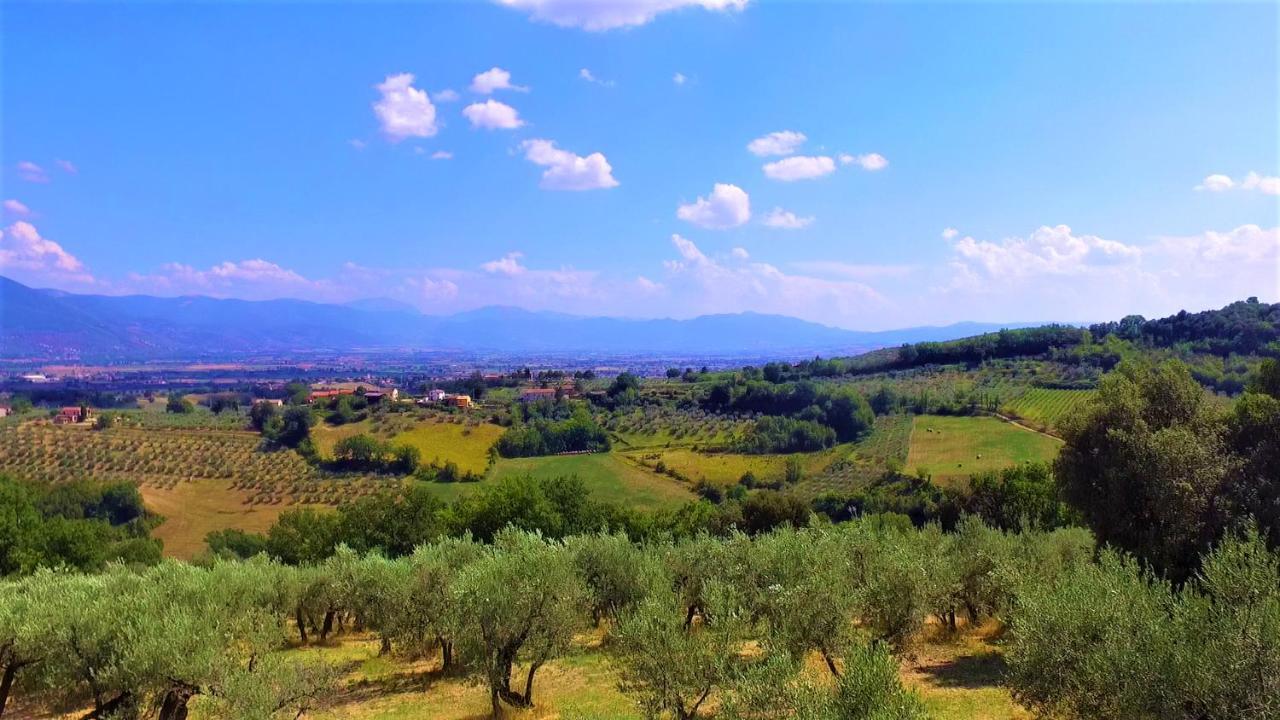 Agriturismo Camiano Piccolo Montefalco Bagian luar foto