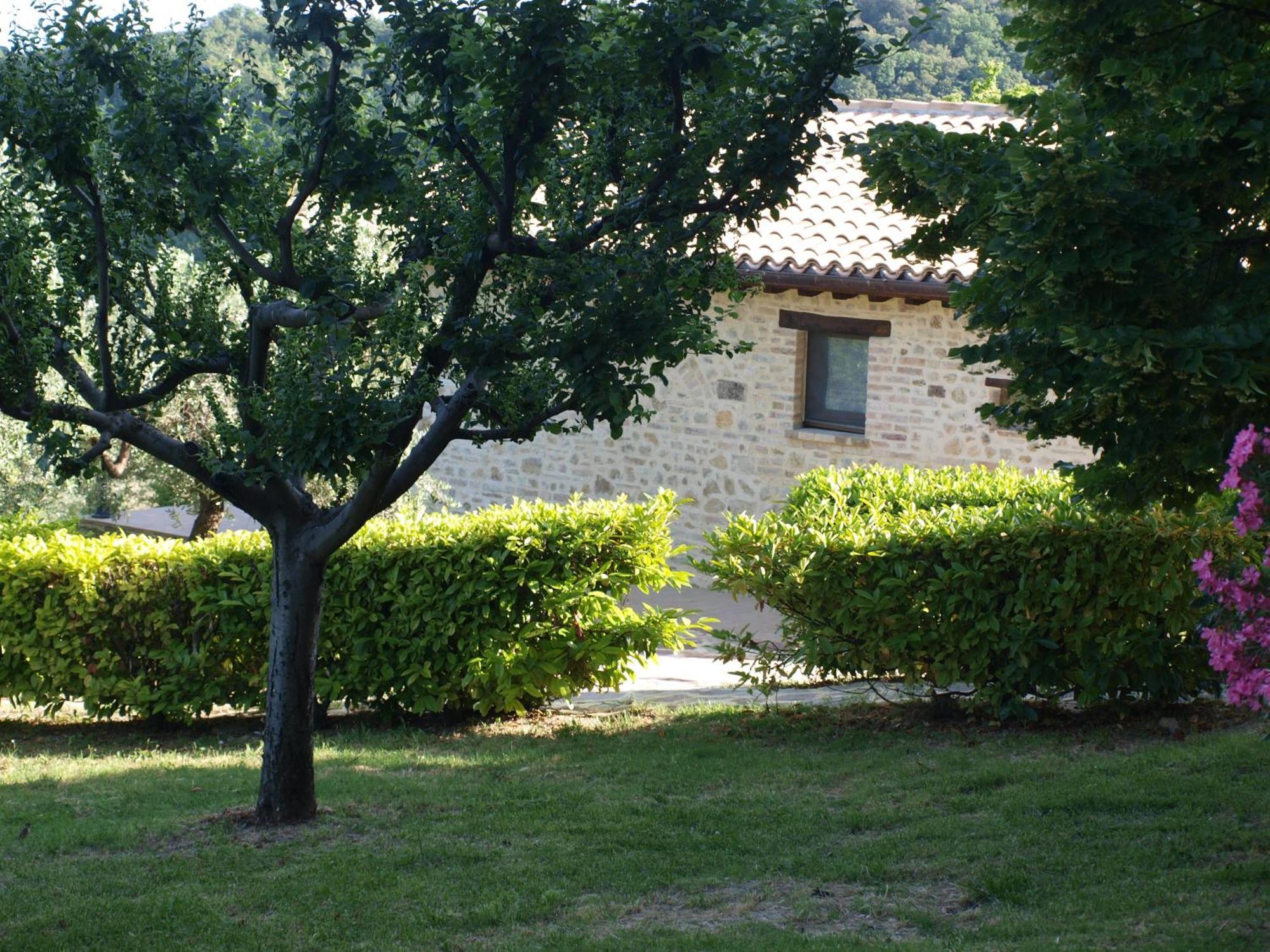 Agriturismo Camiano Piccolo Montefalco Bagian luar foto